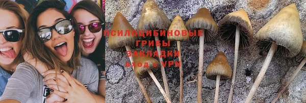мет Баксан