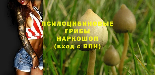 мет Баксан